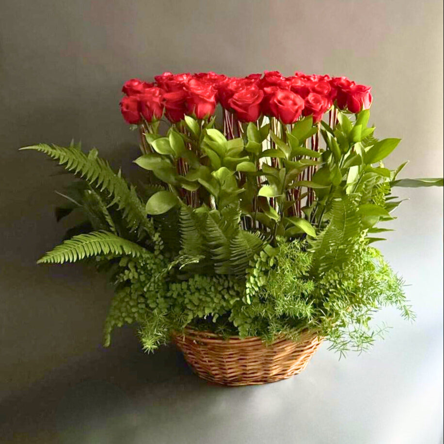 Basket of red roses with greenery on a neutral background